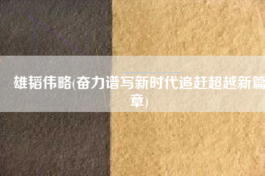 雄韬伟略(奋力谱写新时代追赶超越新篇章)