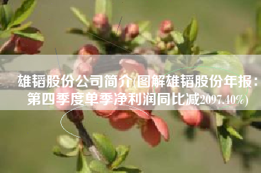 雄韬股份公司简介(图解雄韬股份年报：第四季度单季净利润同比减2097.40%)