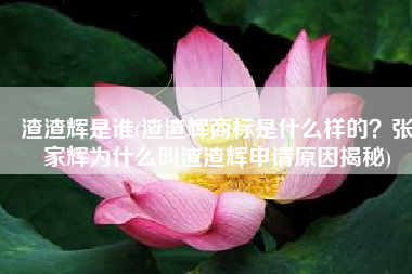渣渣辉是谁(渣渣辉商标是什么样的？张家辉为什么叫渣渣辉申请原因揭秘)