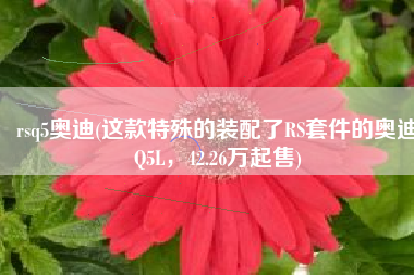 rsq5奥迪(这款特殊的装配了RS套件的奥迪Q5L，42.26万起售)