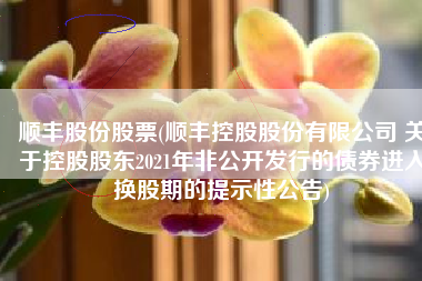 顺丰股份股票(顺丰控股股份有限公司 关于控股股东2021年非公开发行的债券进入换股期的提示性公告)