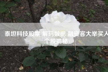 泰坦科技股票(解码数据 融资客大举买入个股揭秘)