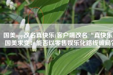 国美app改名真快乐(客户端改名“真快乐”国美求变：能否以零售娱乐化路线破局？)