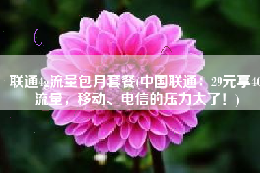 联通4g流量包月套餐(中国联通：29元享4G流量，移动、电信的压力大了！)