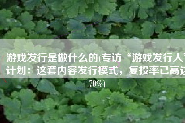 游戏发行是做什么的(专访“游戏发行人”计划：这套内容发行模式，复投率已高达70%)