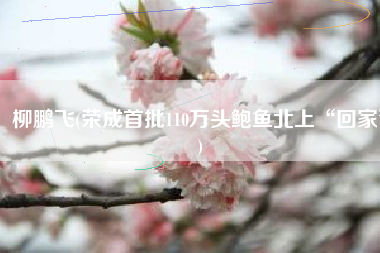 柳鹏飞(荣成首批110万头鲍鱼北上“回家”)