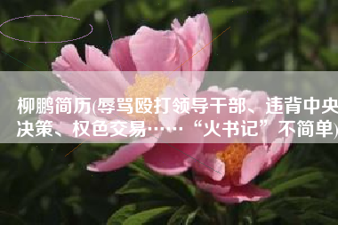 柳鹏简历(辱骂殴打领导干部、违背中央决策、权色交易……“火书记”不简单)