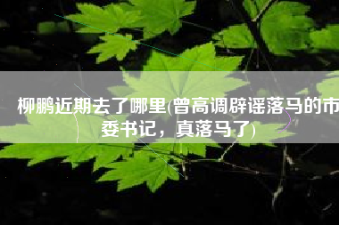 柳鹏近期去了哪里(曾高调辟谣落马的市委书记，真落马了)