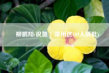 柳鹏翔(祝贺 | 漳州这109人获批)