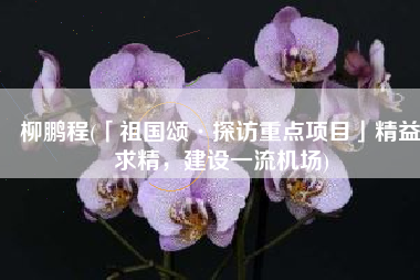 柳鹏程(「祖国颂·探访重点项目」精益求精，建设一流机场)
