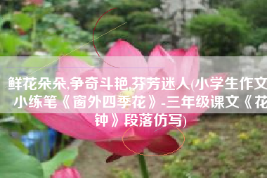 鲜花朵朵,争奇斗艳,芬芳迷人(小学生作文-小练笔《窗外四季花》-三年级课文《花钟》段落仿写)