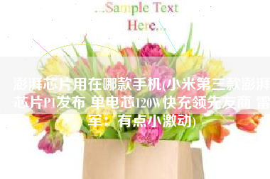 澎湃芯片用在哪款手机(小米第三款澎湃芯片P1发布 单电芯120W快充领先友商 雷军：有点小激动)