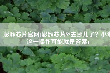 澎湃芯片官网(澎湃芯片S2去哪儿了？小米这一操作可能就是答案)