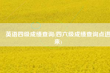 英语四级成绩查询(四六级成绩查询点进来)