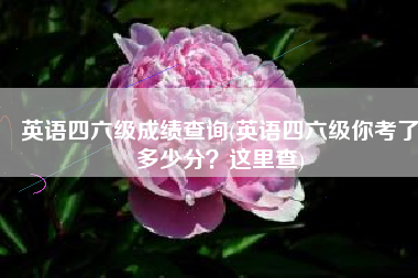 英语四六级成绩查询(英语四六级你考了多少分？这里查)