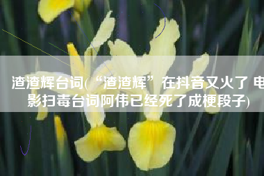 渣渣辉台词(“渣渣辉”在抖音又火了 电影扫毒台词阿伟已经死了成梗段子)