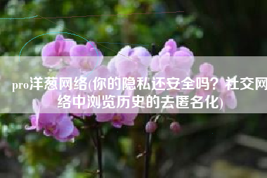 pro洋葱网络(你的隐私还安全吗？社交网络中浏览历史的去匿名化)