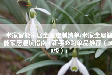 米家智能家居全屋定制清单(米家全屋智能家居避坑指南+新手必购单品推荐（2020版）)