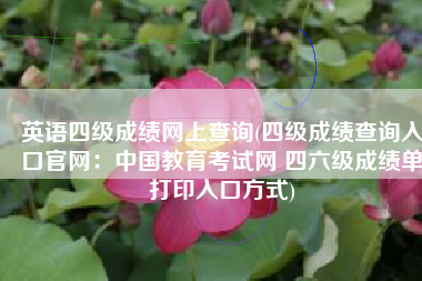 英语四级成绩网上查询(四级成绩查询入口官网：中国教育考试网 四六级成绩单打印入口方式)