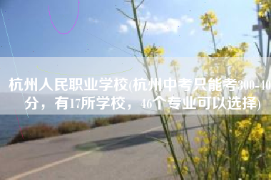 杭州人民职业学校(杭州中考只能考300-400分，有17所学校，46个专业可以选择)