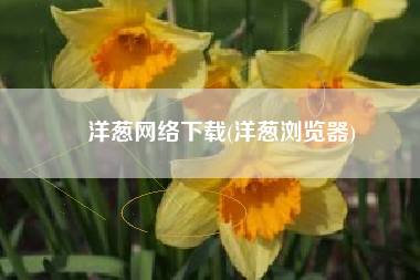 洋葱网络下载(洋葱浏览器)