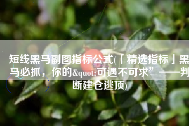 短线黑马副图指标公式(「精选指标」黑马必抓，你的"可遇不可求”——判断建仓逃顶)