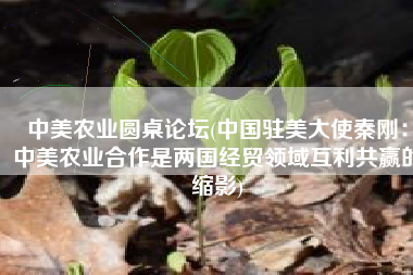 中美农业圆桌论坛(中国驻美大使秦刚：中美农业合作是两国经贸领域互利共赢的缩影)