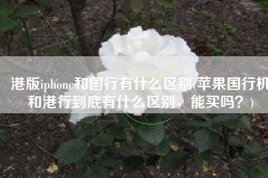 港版iphone和国行有什么区别(苹果国行机和港行到底有什么区别，能买吗？)