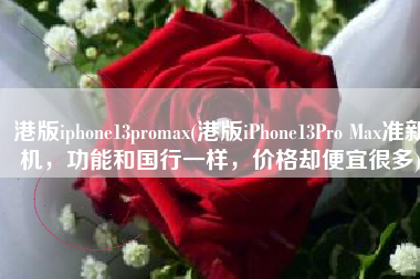 港版iphone13promax(港版iPhone13Pro Max准新机，功能和国行一样，价格却便宜很多)