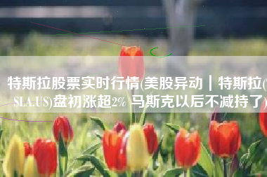 特斯拉股票实时行情(美股异动｜特斯拉(TSLA.US)盘初涨超2% 马斯克以后不减持了)