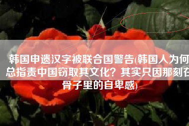 韩国申遗汉字被联合国警告(韩国人为何总指责中国窃取其文化？其实只因那刻在骨子里的自卑感)
