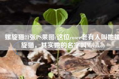 螺旋猫21张PS果图(这位coser老有人叫她螺旋猫，其实她的名字叫Miyuko)
