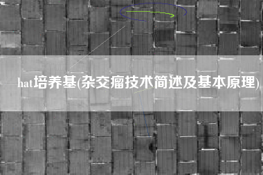 hat培养基(杂交瘤技术简述及基本原理)