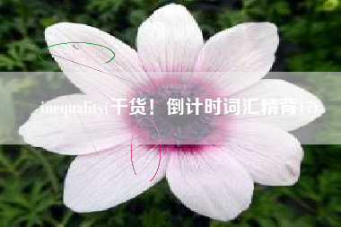 inequality(干货！倒计时词汇精背17)
