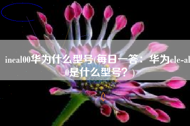 ineal00华为什么型号(每日一答：华为ele-al00是什么型号？)