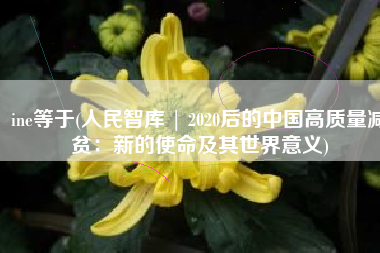 ine等于(人民智库 | 2020后的中国高质量减贫：新的使命及其世界意义)