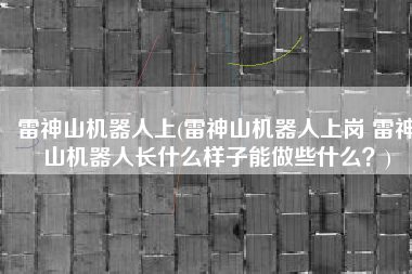 雷神山机器人上(雷神山机器人上岗 雷神山机器人长什么样子能做些什么？)