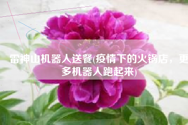 雷神山机器人送餐(疫情下的火锅店，更多机器人跑起来)