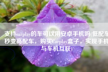 支持carplay的车可以用安卓手机吗(低配车秒变高配车，购买Carplay盒子，实现手机与车机互联)