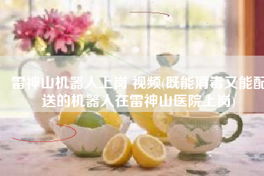 雷神山机器人上岗 视频(既能消毒又能配送的机器人在雷神山医院上岗)