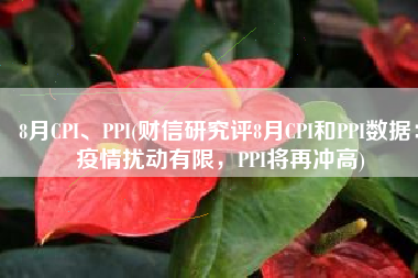 8月CPI、PPI(财信研究评8月CPI和PPI数据：疫情扰动有限，PPI将再冲高)