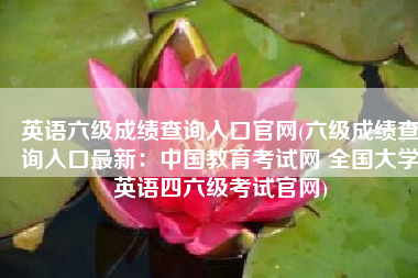 英语六级成绩查询入口官网(六级成绩查询入口最新：中国教育考试网 全国大学英语四六级考试官网)