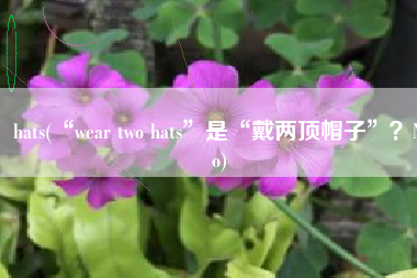hats(“wear two hats”是“戴两顶帽子”？No)