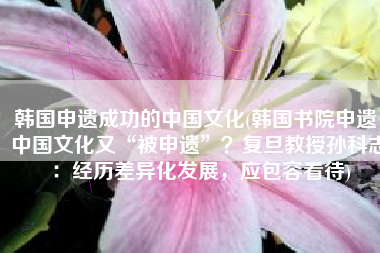 韩国申遗成功的中国文化(韩国书院申遗，中国文化又“被申遗”？复旦教授孙科志：经历差异化发展，应包容看待)
