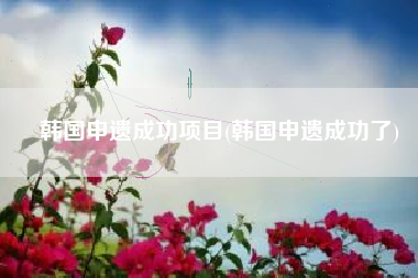 韩国申遗成功项目(韩国申遗成功了)