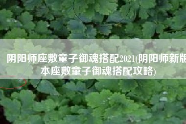 阴阳师座敷童子御魂搭配2021(阴阳师新版本座敷童子御魂搭配攻略)