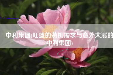 中利集团(旺盛的装机需求与意外大涨的中利集团)