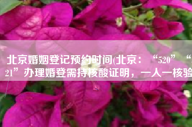 北京婚姻登记预约时间(北京：“520”“521”办理婚登需持核酸证明，一人一核验)