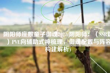 阴阳师座敷童子御魂2021(阴阳师：（SSR篇）PVE向辅助式神梳理，御魂配置与阵容构建解析)