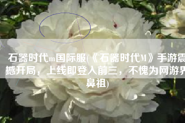 石器时代m国际服(《石器时代M》手游震撼开局，上线即登入前三，不愧为网游界鼻祖)